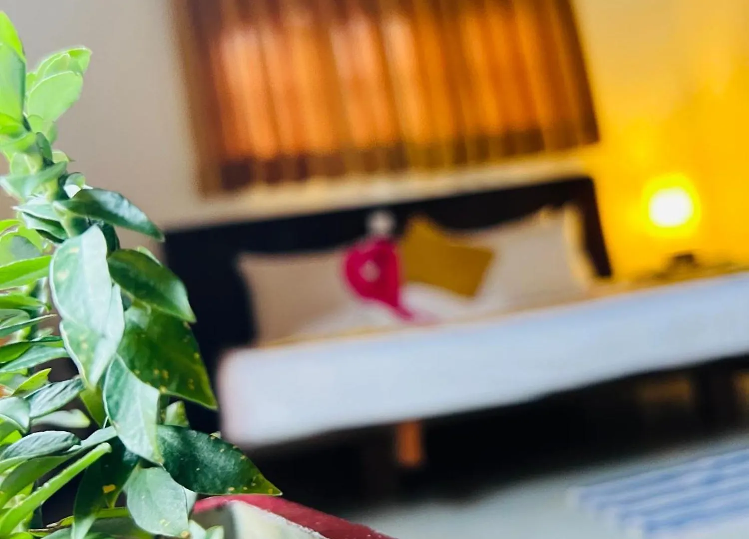 Bed & Breakfast Kingz Kottage By Andy'S Villa Negombo Sri Lanka
